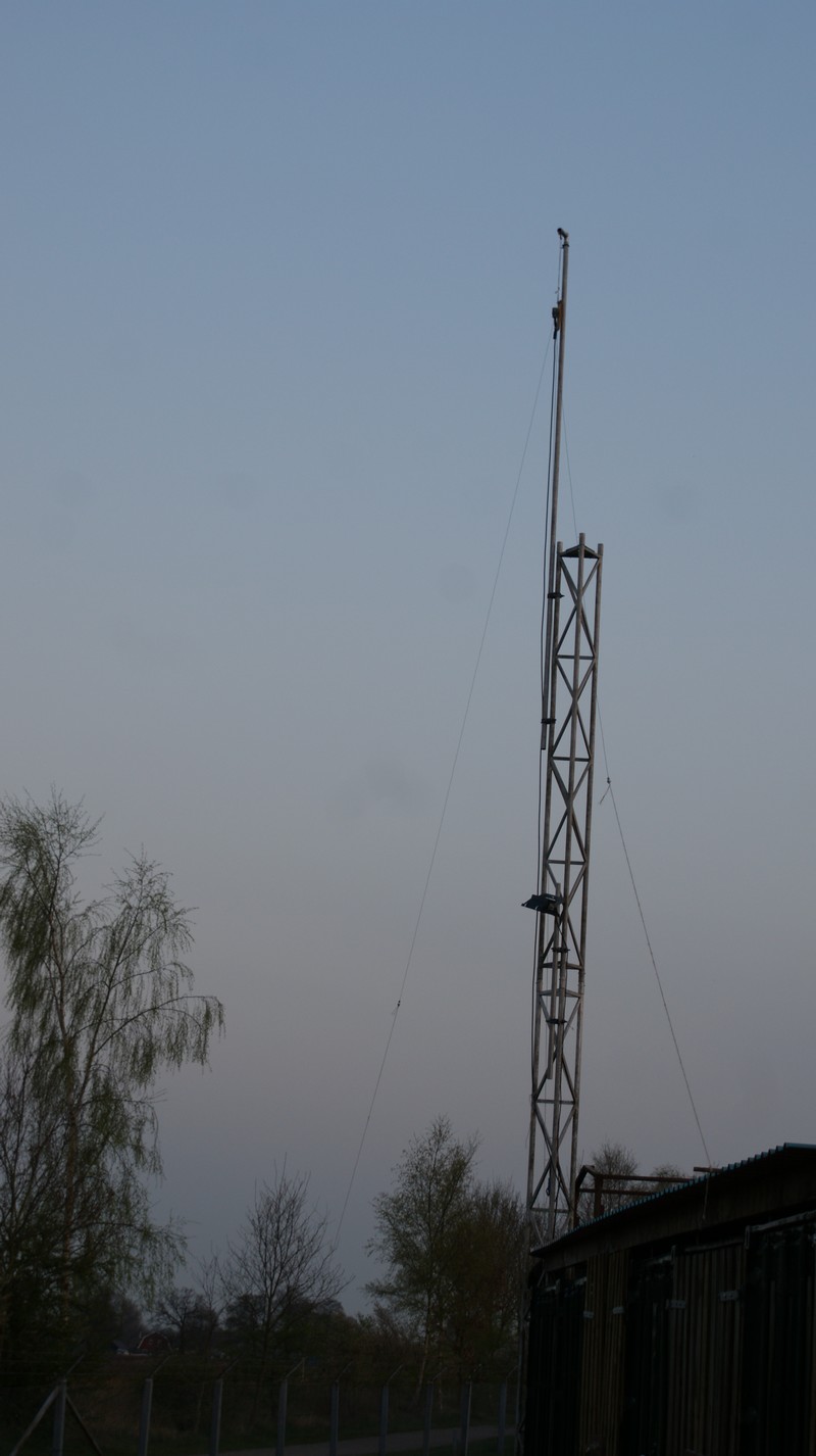 De 40meter dipool.