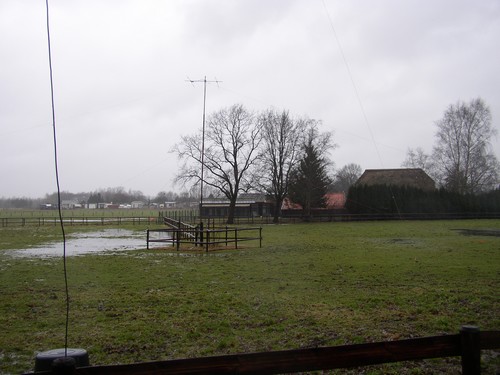 Een groot grasveld maar wel drassig